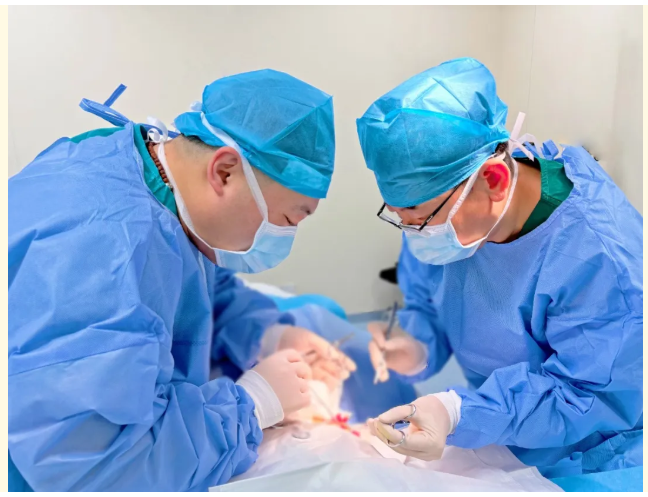 3333333333.png
